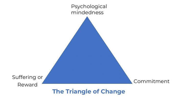 'The Triangle of Change' that we can use for changing your behaviour and habits for a better version of you